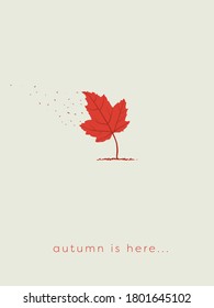 Autumn Or Fall Card Template With Maple Leaf As Tree With Leaves And Wind Blowing Them Off. Eps10 Illustration.