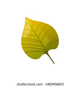 Autumn fall colorful leaf. Isolated design element.