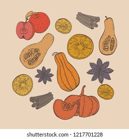 Autumn fall food vegetables season vector color orange pumpkin apple cinnamon vegetarian tasty 