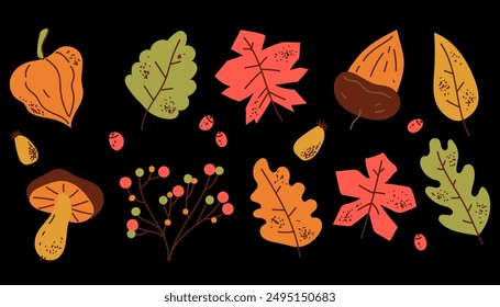 Autumn fall forest leaves design element isolated set. Vector flat graphic design cartoon illustration