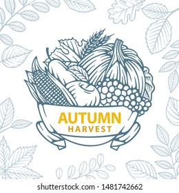 Autumn. Fall harvest. Hand drawn autumn fruits and different leafs. Pumpkin, corn, apple, pear, grape and wheat. Part of set.