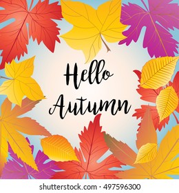 Autumn. Fall. Hello Autumn poster. Autumn leaves background. Leaf. Fall sale, fall leaves. Thanksgiving. RETRO. Falling trees frame, Halloween Autumn maple tree leaves, winter. Autumn landscape Vector