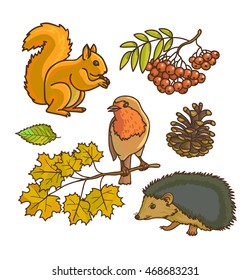 Autumn or fall icon and objects set for design. Forest animals. Vector Illustration. Isolated on white.