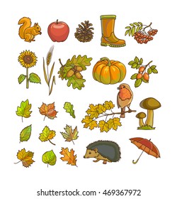 Herbst- oder Herbstsymbol und Objekte für Design gesetzt. Vektorgrafik. Einzeln auf Weiß.