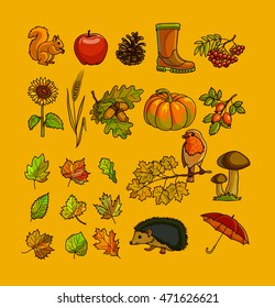 Autumn or fall icon and objects set for design. Vector Illustration. Isolated on white.