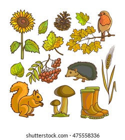 Autumn or fall icon and objects set for design. Vector Illustration. Isolated on white.