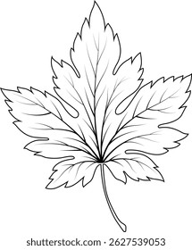Autumn Fall Leaf Digital EPS Vector graphics File
