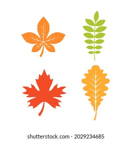 Plantilla de ilustración de diseño de conjunto de iconos de otoño