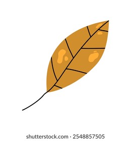 Autumn fall leaf isolated. Cute fall leaves simple naive style.