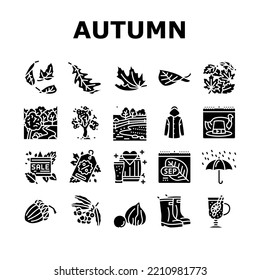 autumn fall leaf nature season icons set vector. foliage leaves, festival holiday, maple art, card cute, forest orange yellow plant autumn fall leaf nature season glyph pictogram Illustrations