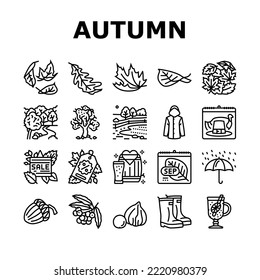 autumn fall leaf nature season icons set vector. foliage leaves, festival holiday, maple art, card cute, forest orange yellow plant autumn fall leaf nature season black contour illustrations