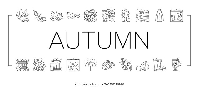 autumn fall leaf nature season icons set vector. foliage leaves, festival holiday, maple art, card cute, forest orange yellow plant autumn fall leaf nature season black contour illustrations