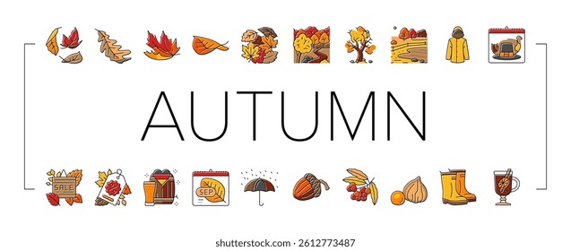 autumn fall leaf nature season icons set vector. foliage leaves, festival holiday, maple art, card cute, forest orange yellow plant autumn fall leaf nature season color line illustrations