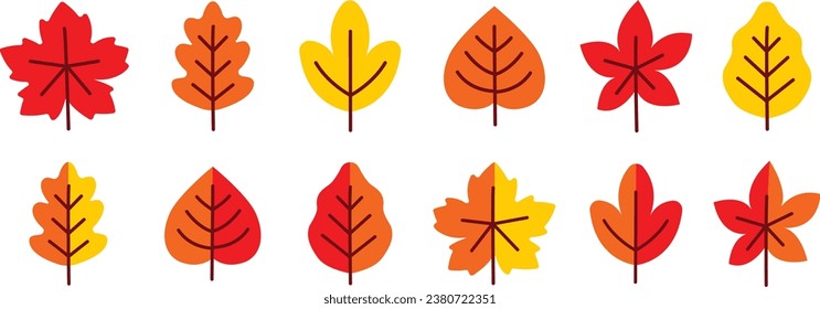 Autumn fall leaf set orange red yellow fallen leaves brown nature season halloween vector graphic design illustration art maple canada