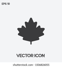 Autumn, fall, leaf vector icon illustration. Ui/Ux. Premium quality.