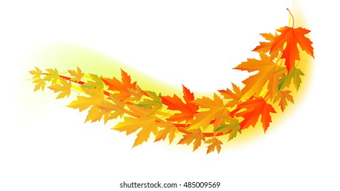 Autumn  Fall leaf. Vector illustration EPS 10