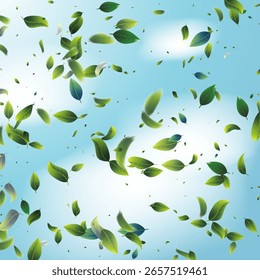 Autumn Fall Leaf Vector Isolated on Transparent Background. Flying Forest Tree Foliage with Blur Elements for Frame Design. October Sale Pattern Illustration. November Wind Season Banner Decoration. 