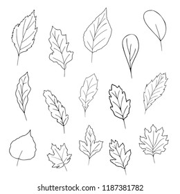 Autumn, fall leafs, leaves of oak, birch, apple, maple, poplar, vector set, 15 elements, black line art of nature, coloring book, page