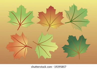 autumn fall leaves