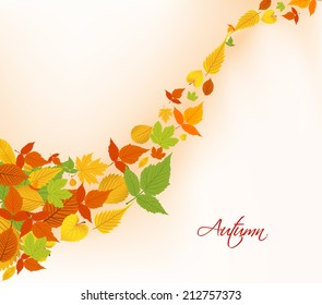 autumn fall leaves background