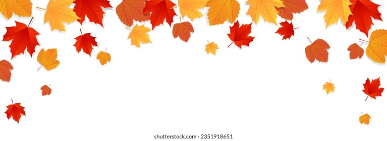 Autumn fall leaves background. Template design for poster, banner, flyer, card. Vector illustration