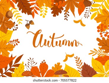 autumn fall leaves  branches twigs background