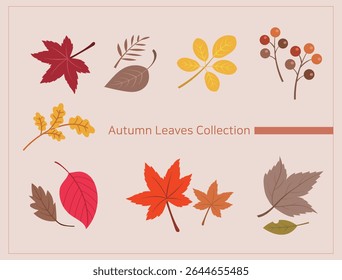 Otoño y Otoño Hojas Colección