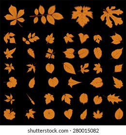 Autumn, fall leaves set. Red, yellow, orange flat icon, vector