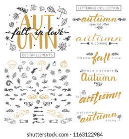 Autumn Fall in Love Design. Set of seasonal autumnal decorative elements hand drawn acorns, leaves, umbrella, pumpkin, arrows, wind and other. Lettering inscriptions.