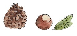 Autumn Fall Nature Finds. Pine Cone, Conker, Leaves, Fir Cone. Watercolor Sketch Illustration. Isolated Vector.
