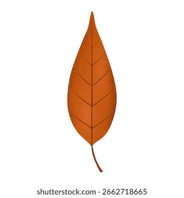 Otoño otoño pincherry árbol hoja