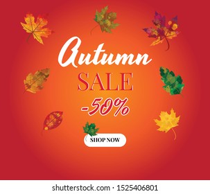 Autumn, Fall Sale Background Layout with leaves. Promo, sales poster, web banner, flyer. Vector illustration template.
