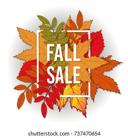 Autumn fall sale poster with color leaves. Vector illustration