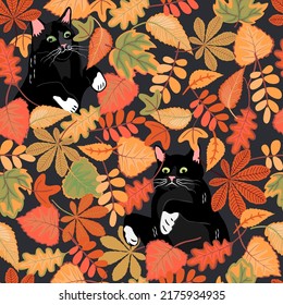 Autumn fall seamless pattern with black cats.Cute animal character surrounded by different shaped leaves.Colorful background and texture for printing on fabric and paper.Vector flat illustration.