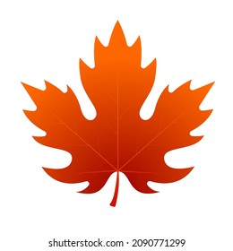 Herbstsaison Red Maple Leaf Vektorgrafik Flaches Design Logo Symbol Clipart