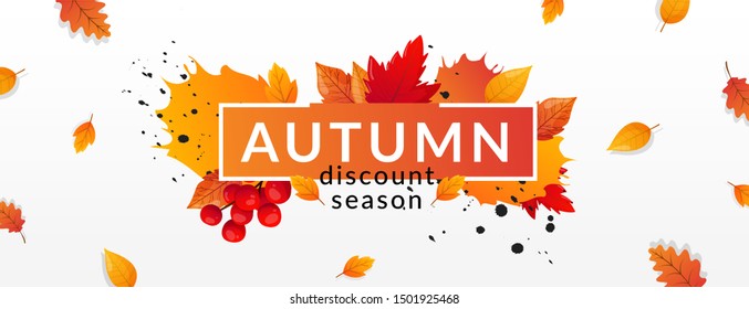 Autumn Fall Season Sale Ad Banner. Colorful fall leaves and advertising discount text. Vector background design.