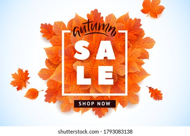 Autumn Fall Season Sale Horizontal Banner. Colorful fall leaves and advertising discount text. Vector white background design.
