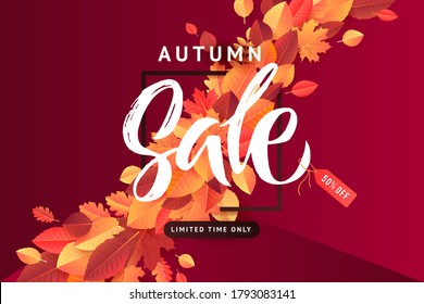Autumn Fall Season Sale Horizontal Banner. Colorful fall leaves and advertising discount text. Vector Red Background Design. Brush Lettering in the Frame