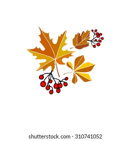 autumn fall season vector design nature background