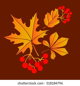 autumn fall season vector design nature background