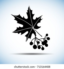 autumn, fall, season, vector, design, nature, background, maple, illustration, leaf