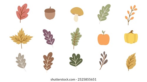 Otoño Otoño Temporada Hoja de Vector Champiñón Icono de semilla de bellota