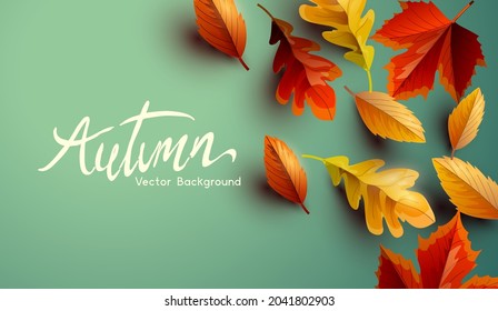 Autumn fall seasonal background design with golden, orange and red leaves. Vector background.