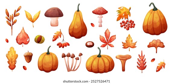 Autumn fall set with dry leaves, pumpkin and mushroom. Vector illustration