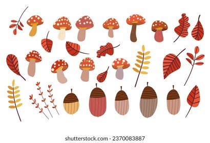 autumn fall set with leaves,mushrooms,acorns