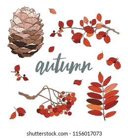 Autumn fall sketch style vector set leaves brunch berry color bump foliage