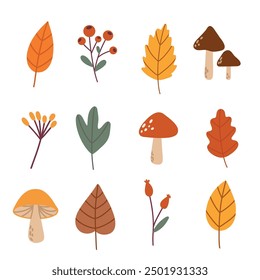 Automne, automne, arrière-plan tendance jour de Thanksgiving avec de belles feuilles, citrouilles et champignons. templates d'Images vectorielles affiche, invitation, carte, flyer, couverture, bannière, placard, brochure, moyennes sociales, vente.
