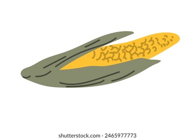 Autumn fall thanksgiving element corn -harvest icon. Fall vegetable. Hand drawn september, october, november food vector illustration.