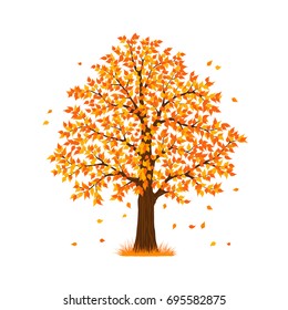 Autumn Fall Tree
