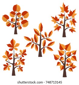 Autumn fall trees collection. Vector illustration. Autumn tree Clip Art.